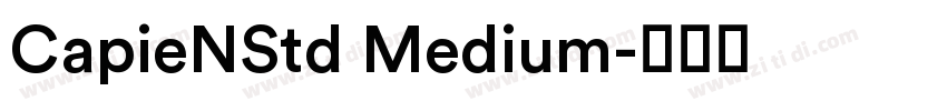 CapieNStd Medium字体转换